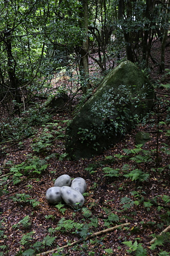 IMG_2863.JPG - 澳洲DAY3