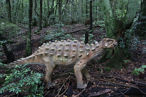 IMG_2871.JPG - 澳洲DAY3