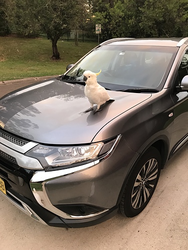 2019-01-21 20.05.45.jpg - 澳洲DAY3