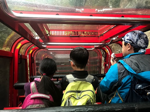 IMG_5371.jpg - 澳洲DAY3