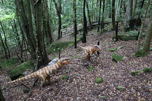 IMG_2870.JPG - 澳洲DAY3