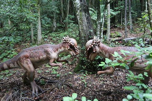 IMG_2873.JPG - 澳洲DAY3