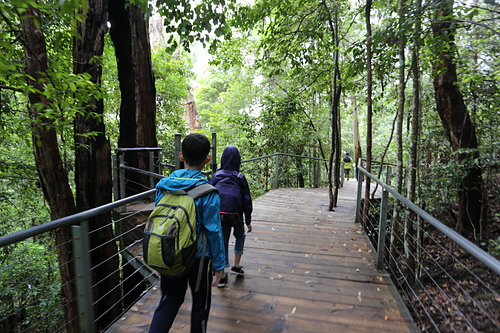 IMG_2875.JPG - 澳洲DAY3