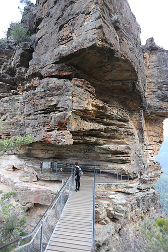 IMG_3035.JPG - 澳洲DAY3