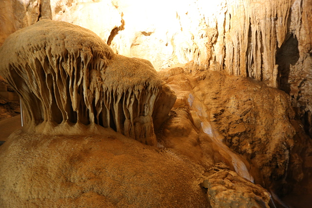 IMG_3067.JPG - 澳洲DAY4