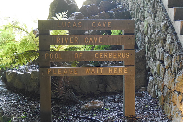 P2190929.JPG - 澳洲DAY4