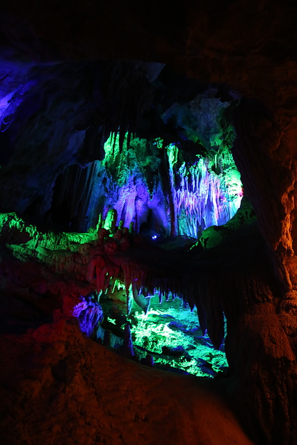 IMG_3137.JPG - 澳洲DAY4