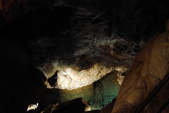 P2190888.JPG - 澳洲DAY4