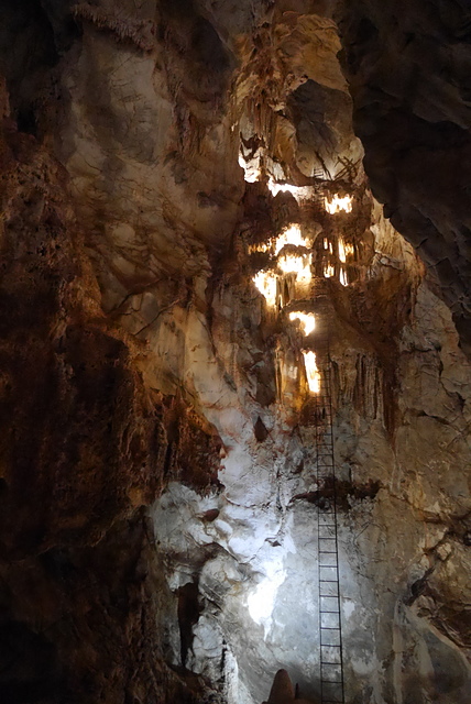 P2190812.JPG - 澳洲DAY4