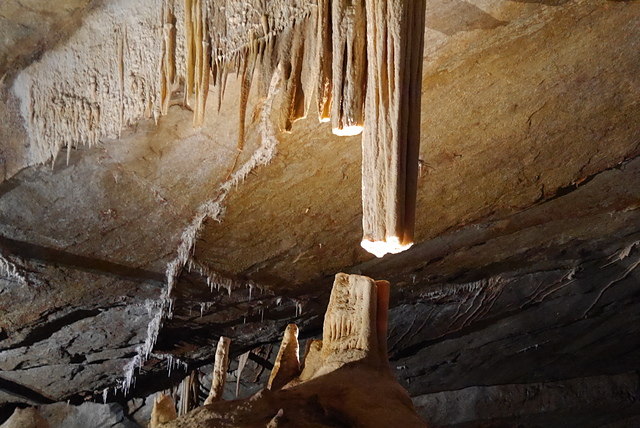 P2190858.JPG - 澳洲DAY4