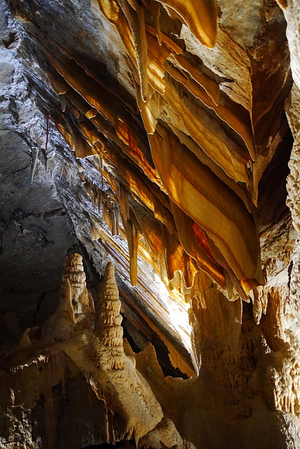 P2190868.JPG - 澳洲DAY4