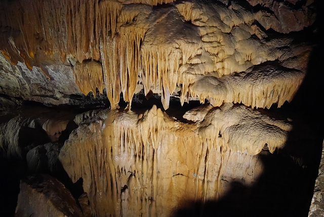 P2190887.JPG - 澳洲DAY4