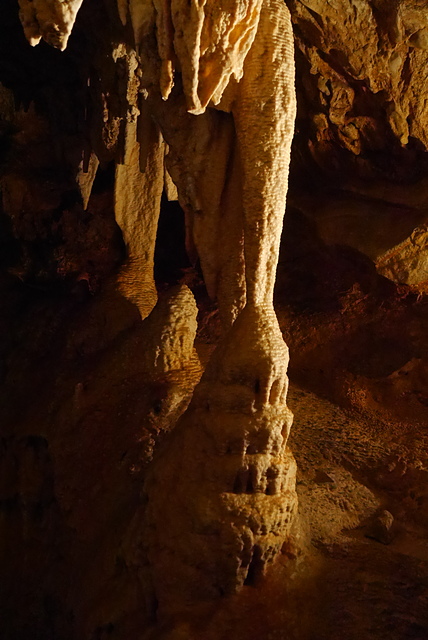 P2190792.JPG - 澳洲DAY4