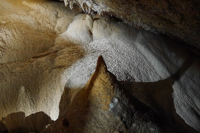 P2190876.JPG - 澳洲DAY4