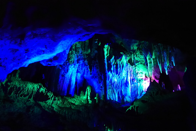 P2190905.JPG - 澳洲DAY4