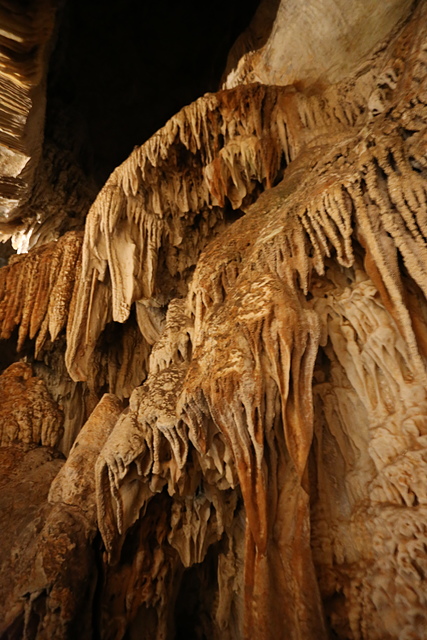 IMG_3097.JPG - 澳洲DAY4