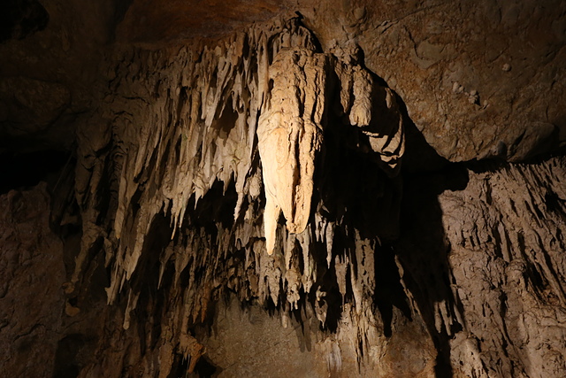 IMG_3066.JPG - 澳洲DAY4