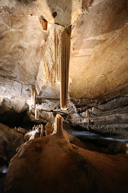 IMG_3107.JPG - 澳洲DAY4