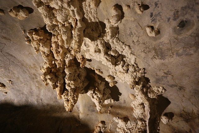 IMG_3139.JPG - 澳洲DAY4