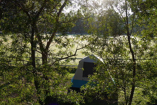 P2190740.JPG - 澳洲DAY4