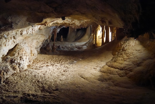 P2190827.JPG - 澳洲DAY4