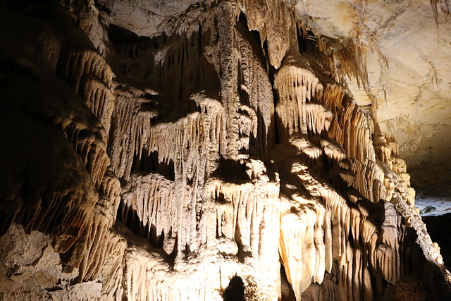 IMG_3118.JPG - 澳洲DAY4