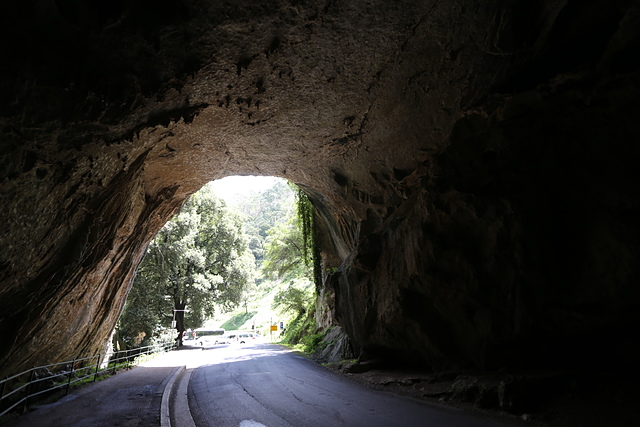 IMG_3158.JPG - 澳洲DAY4