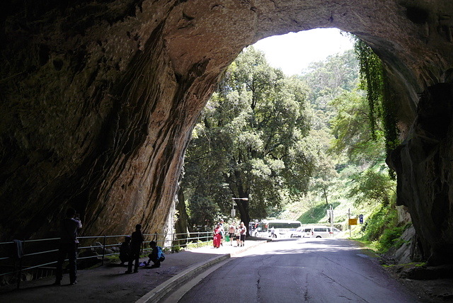 P2190932.JPG - 澳洲DAY4