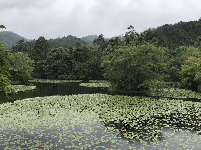 20190713_071233103_iOS.jpg - 京阪神DAY3
