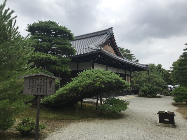 20190713_052007938_iOS.jpg - 京阪神DAY3