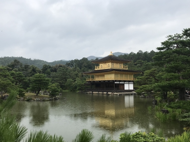 20190713_051731807_iOS.jpg - 京阪神DAY3