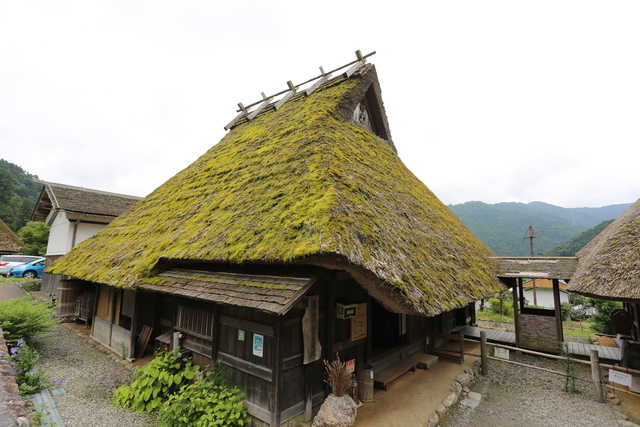 IMG_6768.JPG - 京阪神DAY3