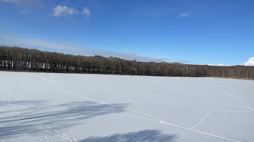 20230127_060133009_iOS.jpg - 2023北海道雪國2
