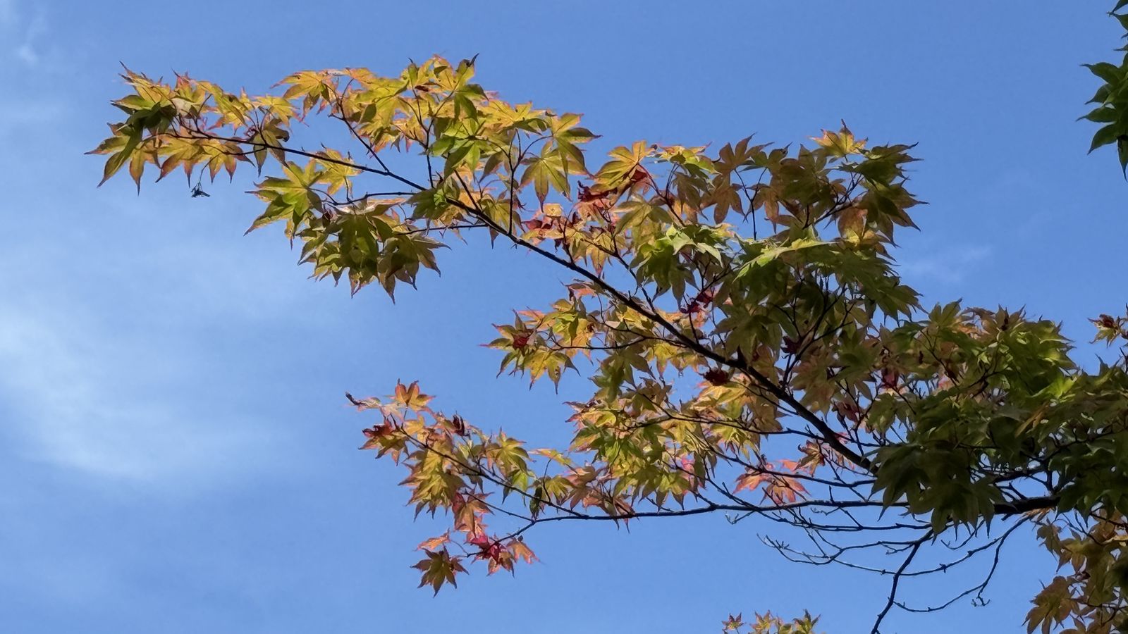 DAY6-盛岡的一日氣味：麵香、鐵板燒與小岩井的風