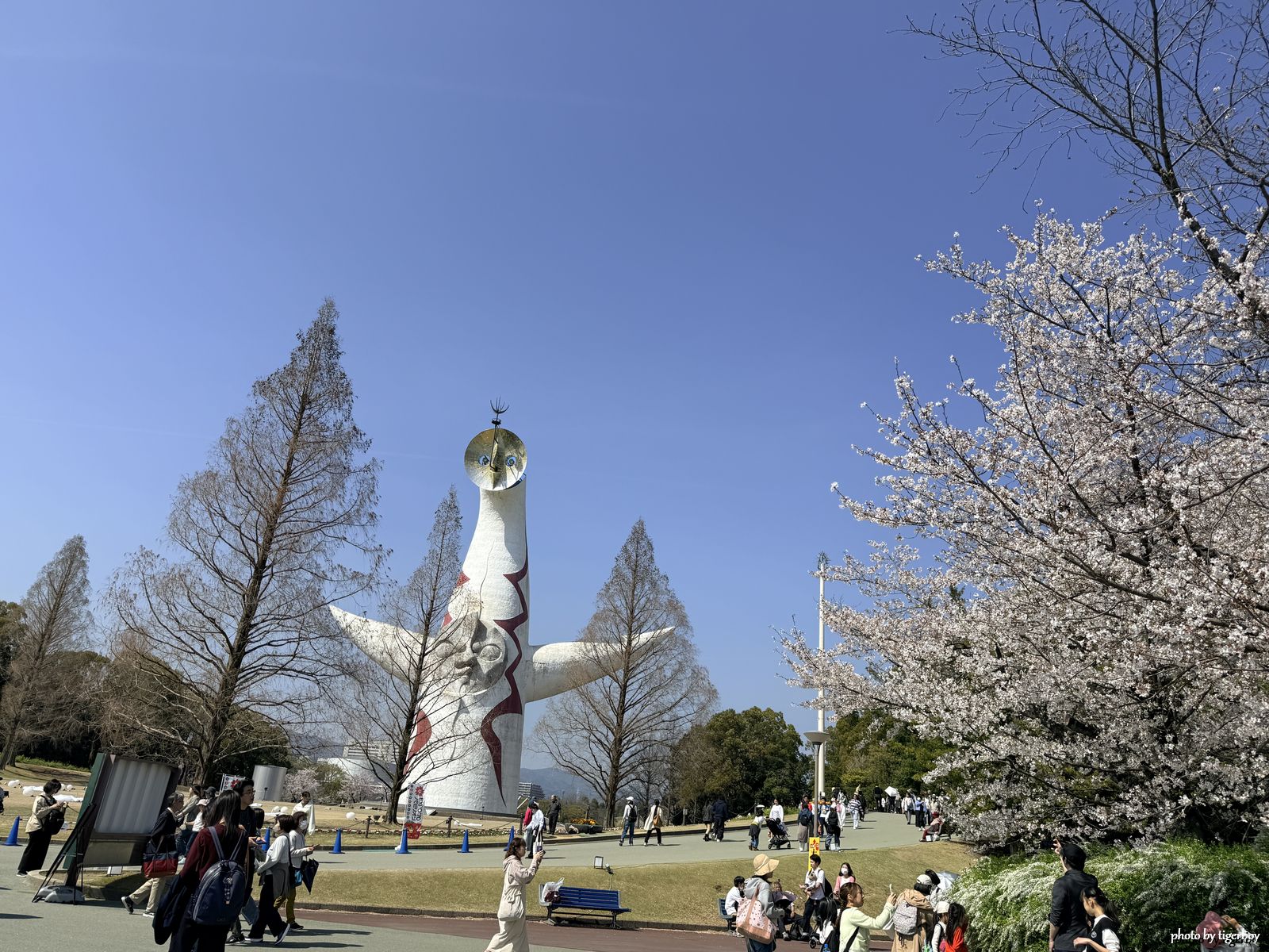 DAY2｜一路向南，追著櫻花跑：萬博紀念公園、和歌山